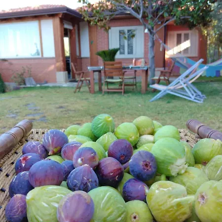 Dağ evi Panoramic Sea View Cosy Sicilian House With Garden Gioiosa Marea