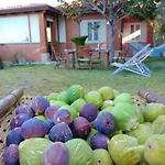 샬레 Panoramic Sea View Cosy Sicilian House With Garden 조이오사마레아