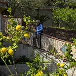 Panoramic Sea View Cosy Sicilian House With Garden * 조이오사마레아
